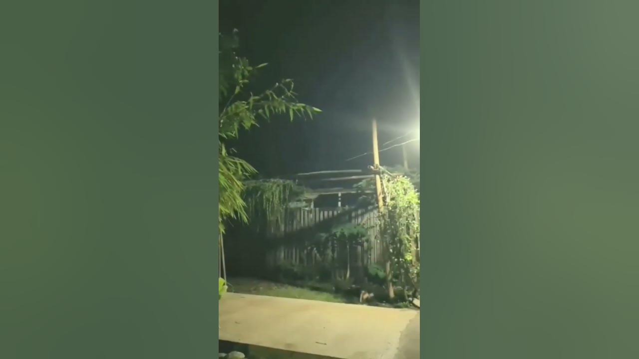 suasana subuh pada jaman dulu suasana subuh pada jaman dulu