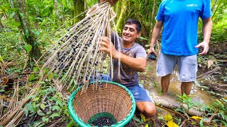 Unseen SUPERFOOD in Amazon Jungle  Real Way to Eat AÇAÍ (You’ll Be Surprised) in Belém, Brazil!