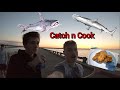 Bridge fishing in jacksonville florida   shark and catfish catch clean and cook