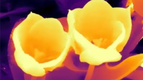 [ECCV 2020 – Oral] Learning Stereo from Single Images