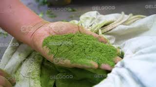 Moringa Leaf Powder Processing Machine Line