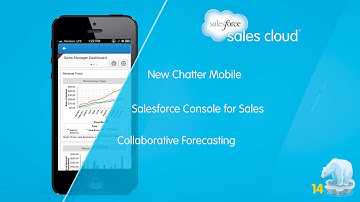 Sales Cloud -- Winter 