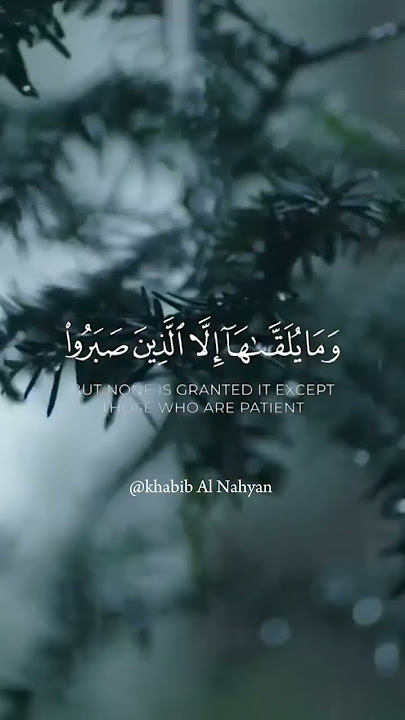 Nostalgic Surah Fussilaat (Ha-Mim Sajdah) Recitation | Most Beautiful voice | Heart Touching Quran