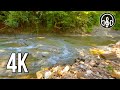 Relaxing sounds of a mountain river for deep sleep and relaxation.