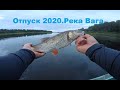 Мой отпуск 2020, рыбалка на реке Вага.День первый.Немного окуня и бонусный голавль