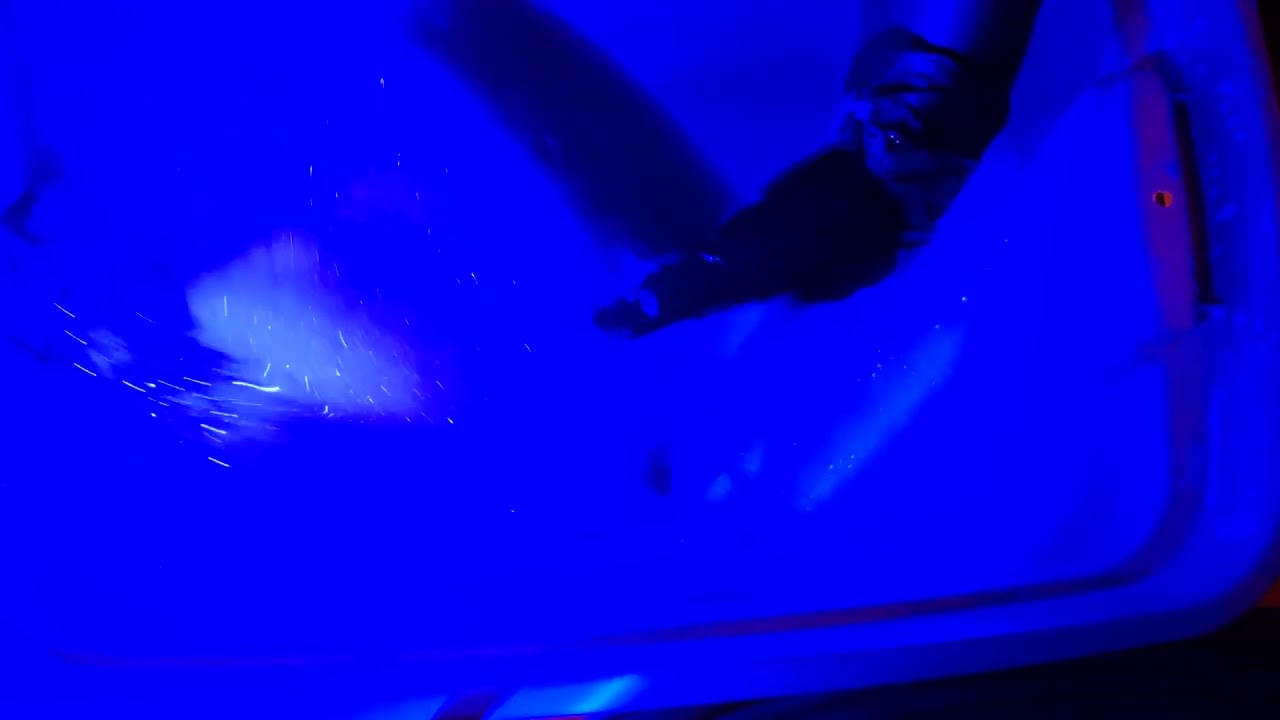 🤍🧡💗 blue rinse 🧿 warm water 🧿 recycled powder 🤤🤤🤤🤍🧡💗 so scrummy