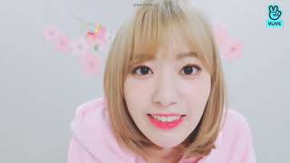 [ENGSUB] 190319 꾸라데이🌸🎂 | IZ*ONE SAKURA BIRTHDAY VLIVE LIVE