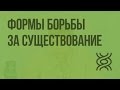 Формы борьбы за существование. Видеоурок по биологии 11 класс