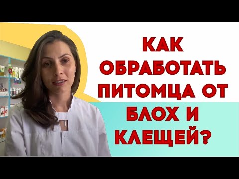 Видео: Что каждый владелец домашнего животного должен знать о профилактике блох и клещей