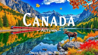 Canada 4K Autumn Relaxation Film - Peaceful Piano Music - Autumn Landscape