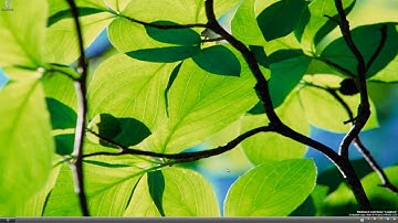 Guide to installing Windows Longhorn/Whistler betas | VMware