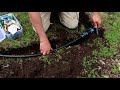 Installing a Drip Irrigation System For Trees And Bushes