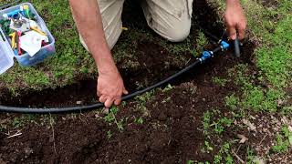 樹木や低木のための点滴灌漑システムの設置