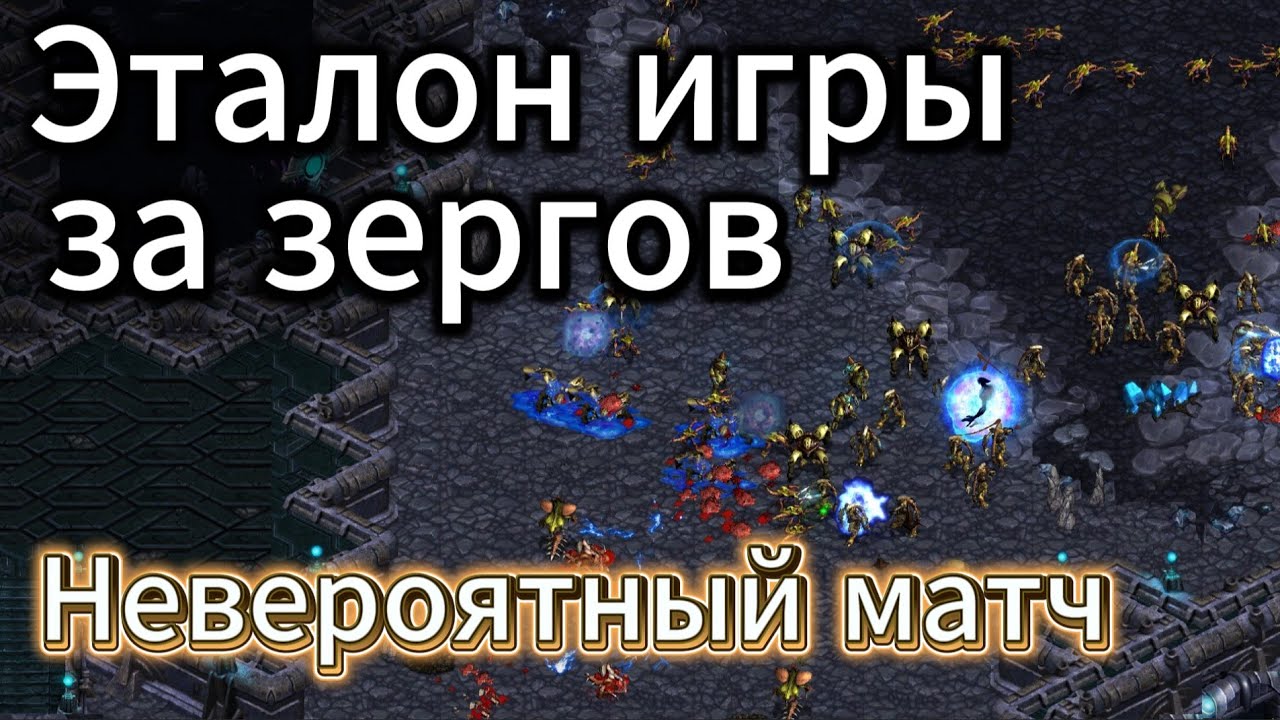 Протосс Бису против ПУГАЮЩЕ МОЩНОГО зерга - Окружение со всех сторон - СУПЕР PvZ - Старкрафт Брудвар