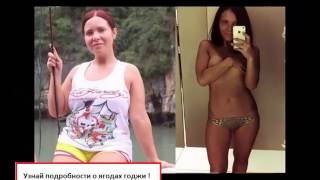 гималайская ягода годжи гималайская ягода годжи