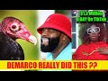 BREAKING| Demarco Did What Only A Jancrow Would Do! Brit $1.3 Million In 1 Day| CCTv Show Danielle