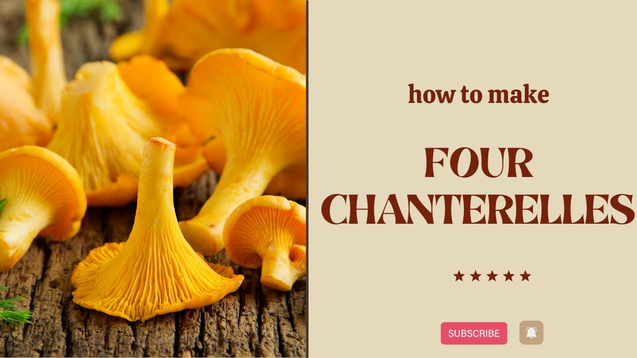 FOUR CHANTERELLES cooking recipes CHANTERELLE YouTube