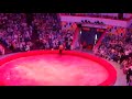 В Казани страус напал на зрителей в цирке