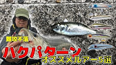 涸沼シーバスハクパターン攻略法 Never Give Up 田口 知宏 Megabass Youtube