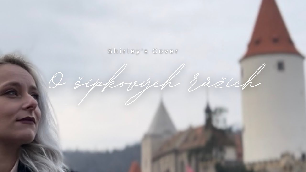 O šípkových růžích - Shirley Tracanna