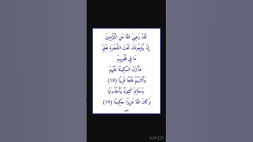 سورة الفتح - سورة 48 - اية 19-18