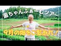 【菌ちゃんふぁーむツアー】９月編・無肥料栽培