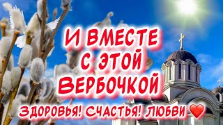 С Вербным Воскресеньем поздравления от души 🙏