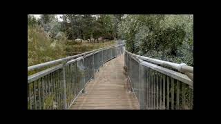 Lyneham Wetlands, Canberra, March 2023