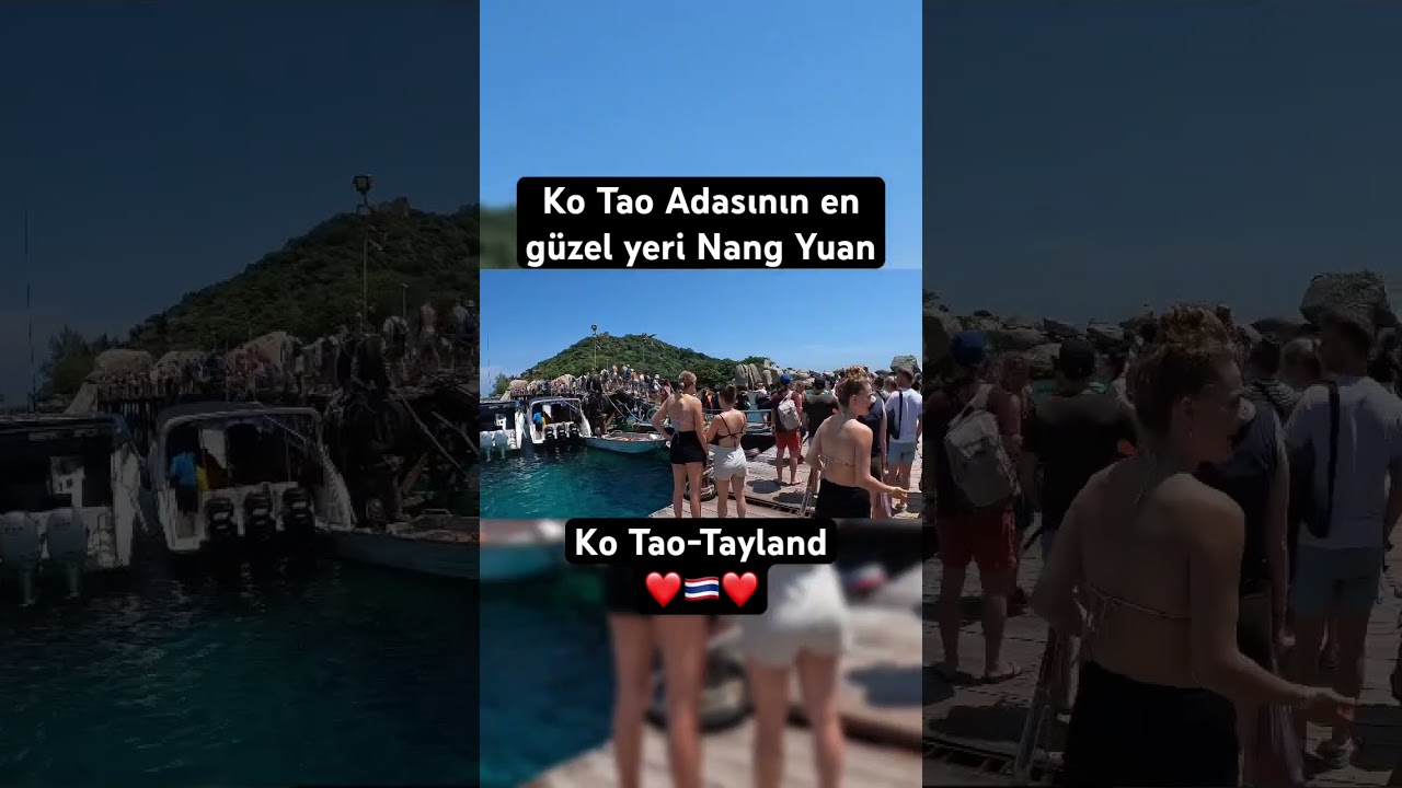 Koh Tao Adasının (Tayland) en güzel yeri Nang Yuan #shorts