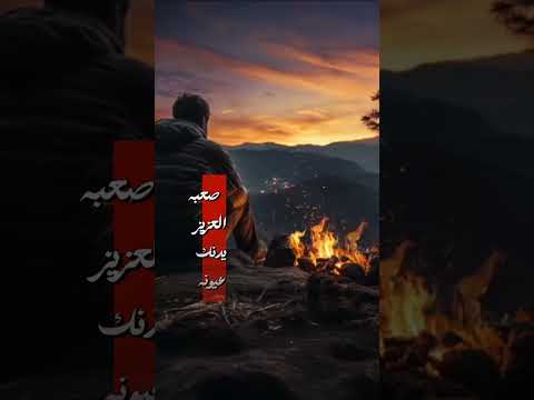 كلبـي اليحبكم لا تكسرونه سيدفاقد