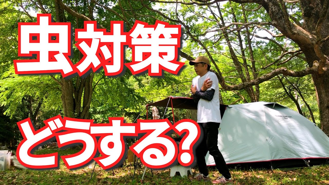 【源池公園】虫対策しないと毛虫にやられる無料キャンプ場でソロキャンプ△四国愛媛県宇和島市津島町△コールマン ツーリングドームLX+