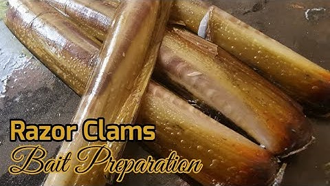 Sea Fishing UK | How To Prepare Fishing Bait | Raw Razor Clams