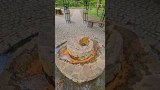 Źródełko Borkowo | Leśny klimat Połczyna 🌿💧