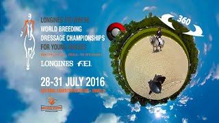 LONGINES FEI/WBFSH World Breeding Championships for Young Dressage Horses