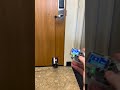 Using my PolyCast5 multi-tool remote to control my DIY door opener! Free tutorial linked in bio!