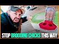 STOP brooding chicks THIS WAY  {FARM HACK}