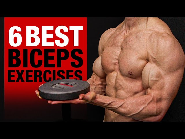 The Six Best Arm Exercises For Your Next Arm Workout