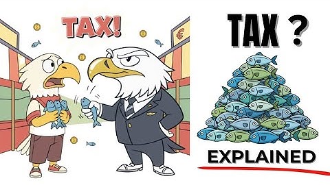 Why the Government Takes Your Fish 🐟 | TAX Explained (Income, Sales & Wealth)