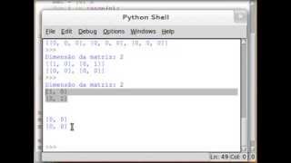 Exercício com matriz no Python