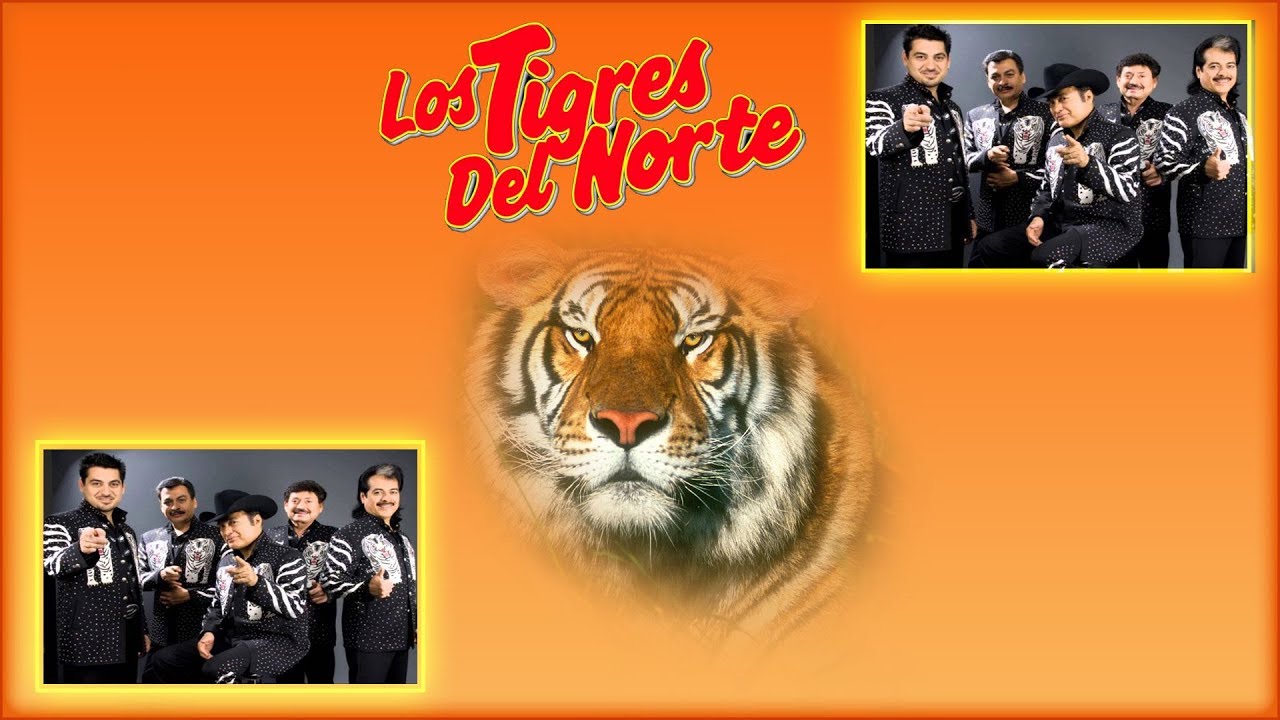 'LOS TIGRES DEL NORTE' Y SUS MEJORES CANCIONES NORTEÑAS  DE TODOS LOS TIEMPOS