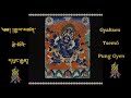 Gyaltsen tsemo pungyen ornament on the top of the victory banner