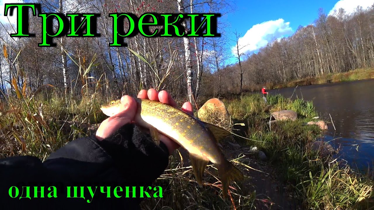 Рыбалка на реке Булатная (Ленинградская область) - информация о месте и условиях