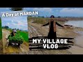 My village vlog  redshirtwala