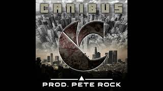 Canibus &amp; Pete Rock - Poets Palaquin (Acapella)
