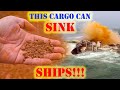 La cargaison qui peut couler des navires en quelques minutes  liqufaction de la bauxite  chef makoi seaman vlog