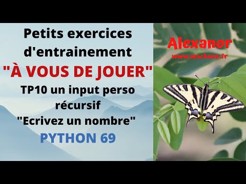 Python #69 Créer un input perso de façon récursive qui attend qu'un nombre soit effectivement saisi