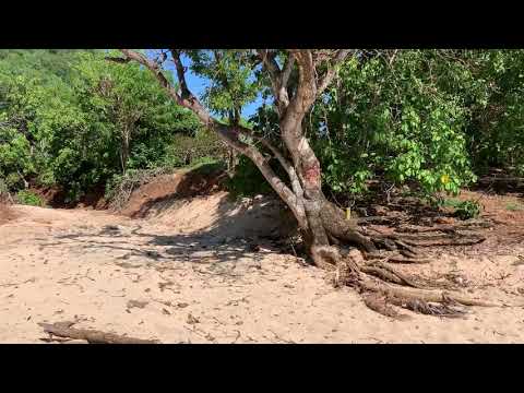 Один из самых диких пляжей на Бали. Пляж Нянг-Нянг. Природа на Бали.