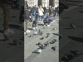 حبيب داس على قلبي تاك 