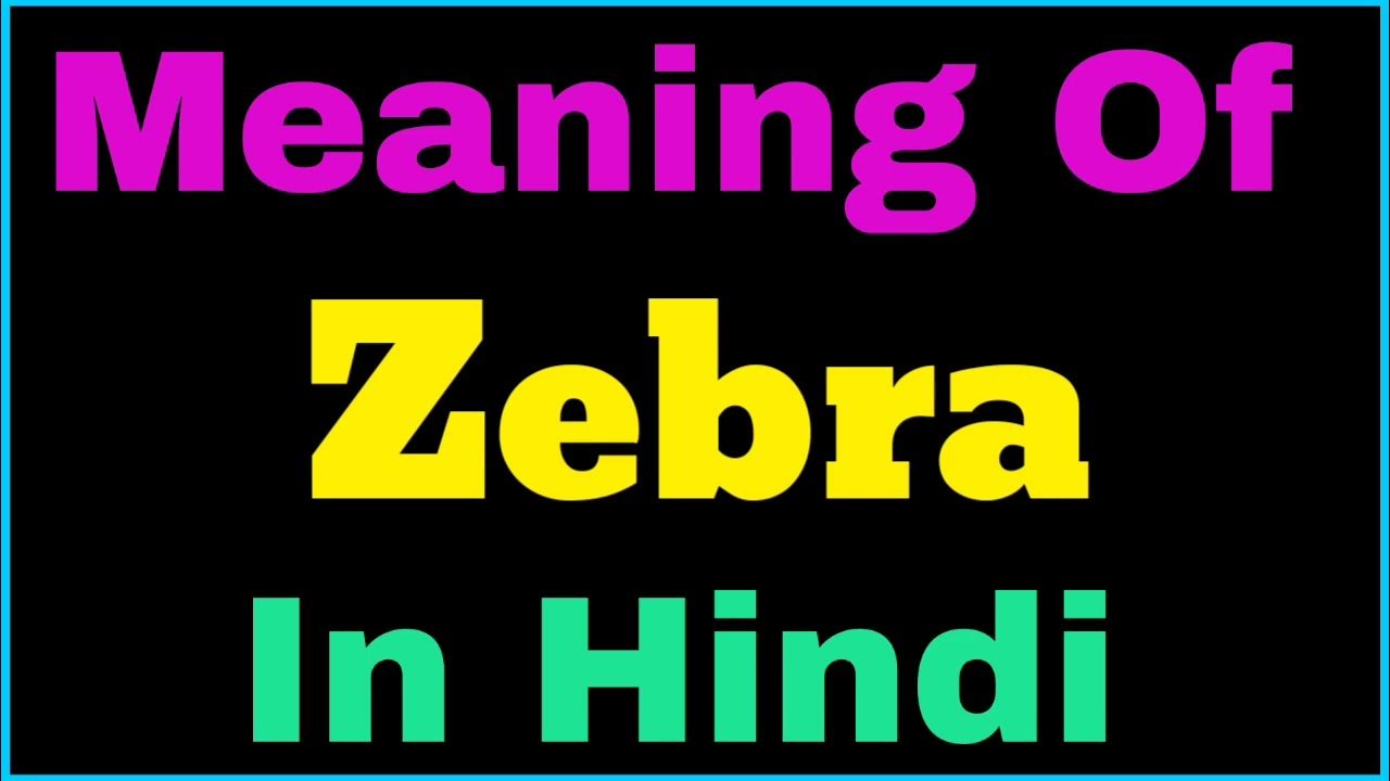 Zebra Meaning Zebra Means Zebra Meaning In Hindi Hindi Meaning Of zebra-meaning-zebra-means-zebra-meaning-in-hindi-hindi-meaning-of