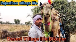 Rajasthan village life | कितना सादा जीवन है गांव के लोगों का | Rajasthan Bikaner village life  EP-48